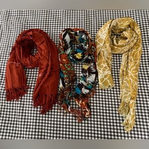 bundle of 3 lightweight scarfs | Nordstrom | LIKE NEW